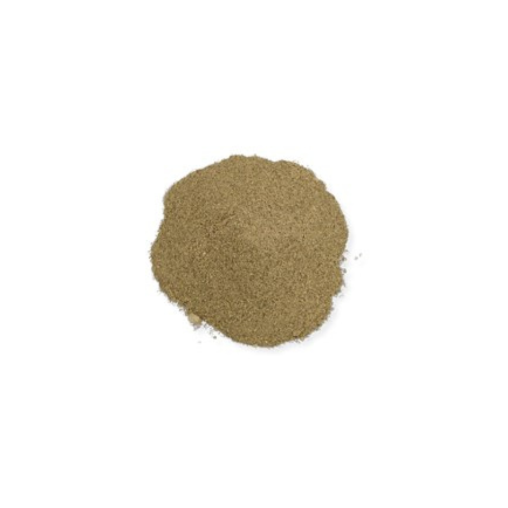 Untitled design – 2026-02-21T155358.814