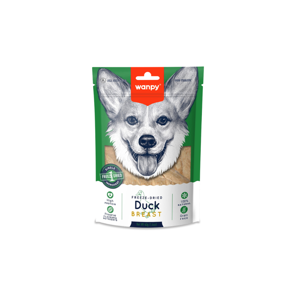 Untitled design – 2026-03-20T165651.004