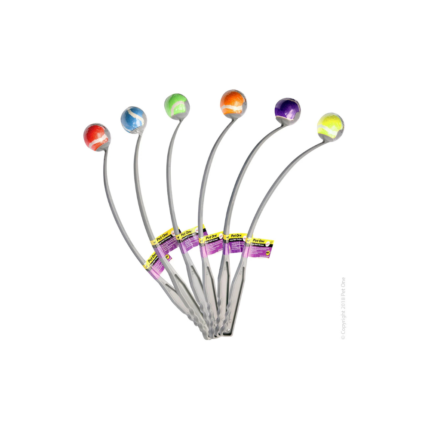 Pet One Ergo Ball Thrower