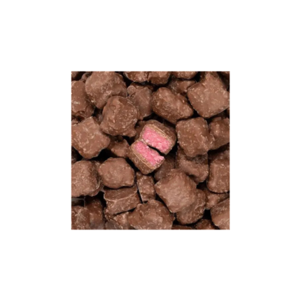 Chocolate Raspberry Coconut Squares 250g